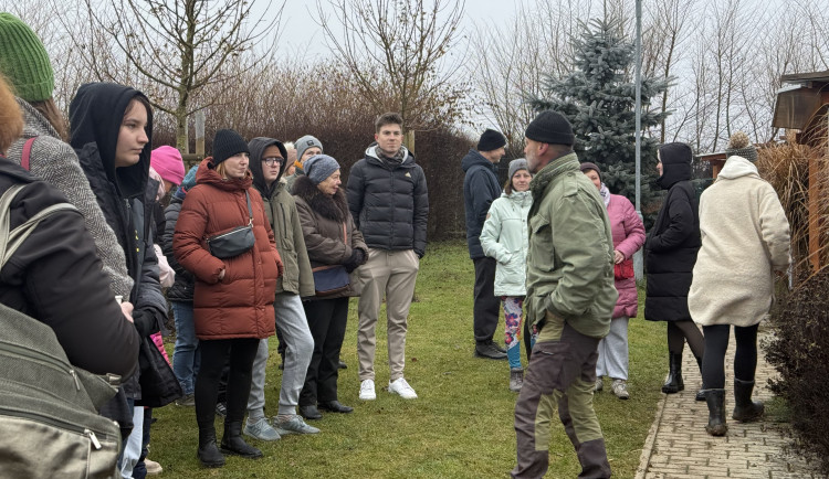 Vánoce v útulku Animal Rescue. Venčení pejsků, opékání buřtů a hromada lásky