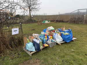 Vánoce v útulku Animal Rescue. Venčení pejsků, opékání buřtů a hromada lásky