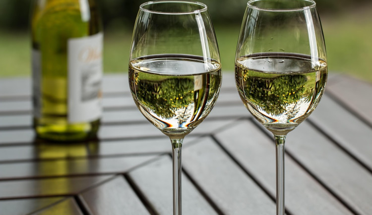 Boj o víno. Vláda podporuje daňové zvýhodnění, předloží však vlastní zákon