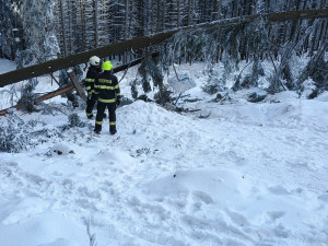 Na Kleti spadl strom na lanovku, těsně minul dva turisty