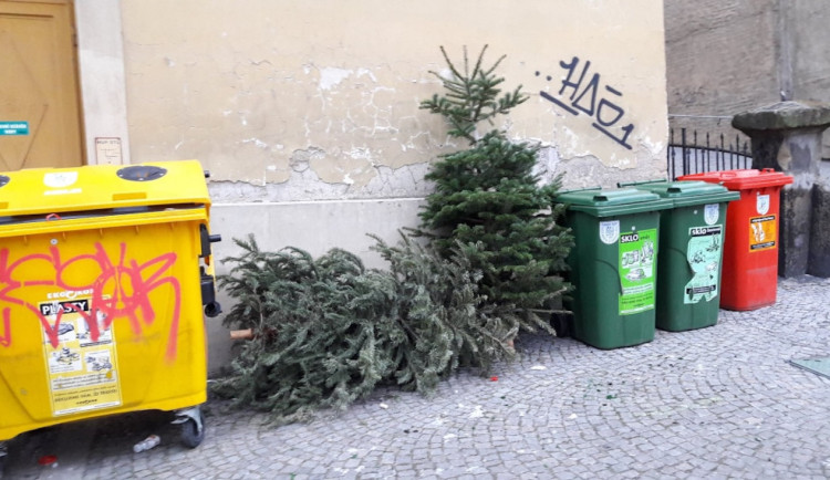 Vánoční stromky v Karlových Varech poslouží i po svátcích. Město je využije k mulčování