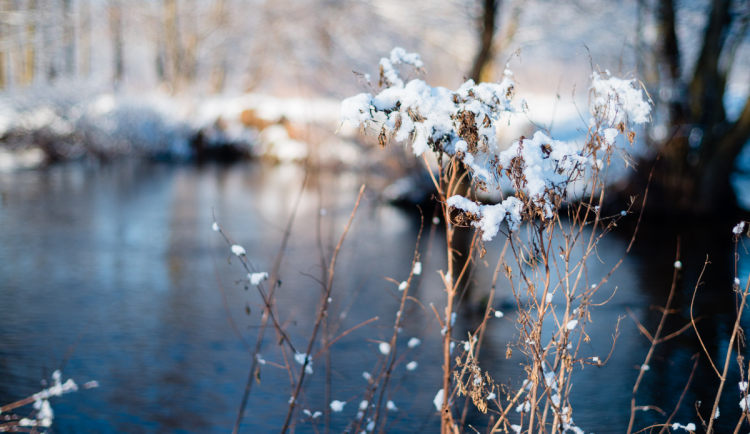 Nad ránem jsme v hradeckém kraji měřili až 22 stupňů pod bodem mrazu