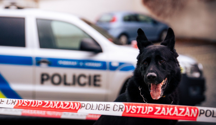 Pochybila policie v případu ženy, která byla ve Višňové později ubita? Podle mluvčího ne