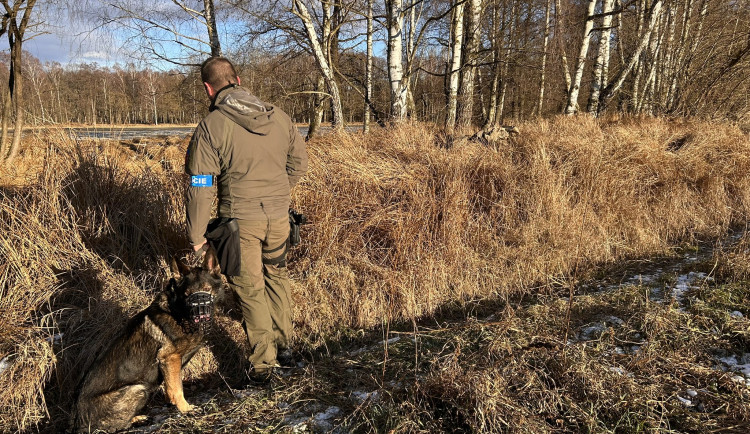 Muž podezřelý z vraždy je v nemocnici. Motiv jeho jednání zatím policie neuvedla