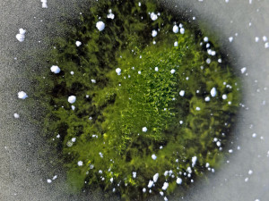 Led na Lipně se zabarvil do smaragdu. Vědci popsali vzácný zimní úkaz