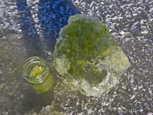 Led na Lipně se zabarvil do smaragdu. Vědci popsali vzácný zimní úkaz