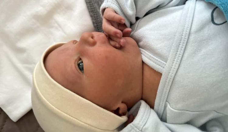 Cizince má za rodiče každé čtvrté dítě narozené loni v Plzni