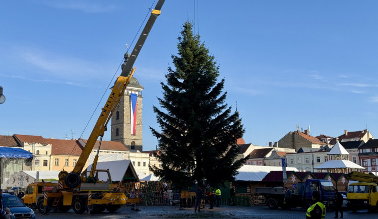 Vánoční jedle se loučí. Z budějovického náměstí zmizí v pondělí 12. ledna