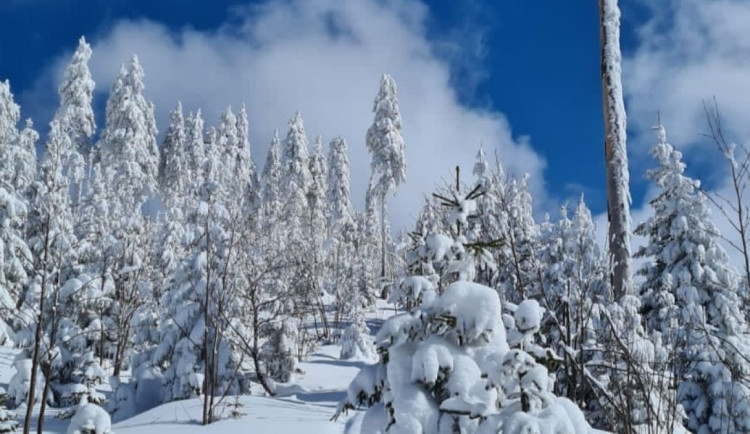 Na Šumavě ráno klesly teploty k minus 30 stupňům, mrznout bude i přes den