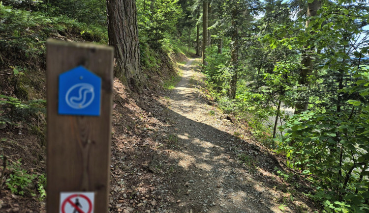 Prachatice rozjíždějí druhou etapu trailů na Libíně. Nové trasy přilákají cyklisty už koncem léta