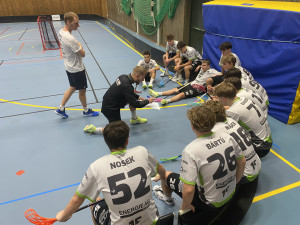 Mladí Štíři ve Švédsku zazářili. Z Gothia Cupu vezou historicky první titul