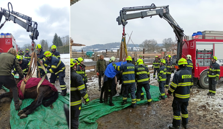 Kůň upadl na zem a nedokázal vstát. Na pomoc přijeli hasiči s hydraulickou rukou