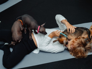 Puppy jóga spojuje relaxaci lidí se zdravou socializací štěňat