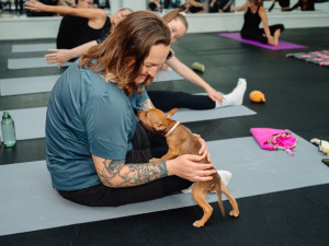Puppy jóga spojuje relaxaci lidí se zdravou socializací štěňat