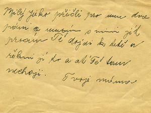 České Budějovice objektivem Milana Bindera a perem Martina Maršíka: Dopisy vyprávějí smutný příběh