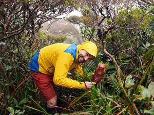 Stovky orchidejí a dalších exotických rostlin zaplnily Jihočeské muzeum