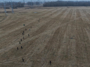 Kudy běží zajíc. U Budějc začal výzkum s GPS obojky, má zabránit střetům zvěře s auty