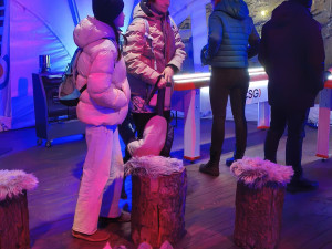 Zahájení Olympijského festivalu rozproudilo Výstaviště, přilákalo tisíce návštěvníků