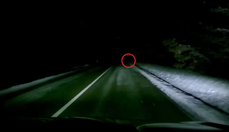 VIDEO: Řidiči ho neviděli. Chodec bez reflexů riskoval své zdraví, dostal pokutu