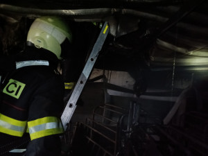 Hasiči zasahují u požáru prasečáku ve Chvalovicích, část zvířat se podařilo evakuovat