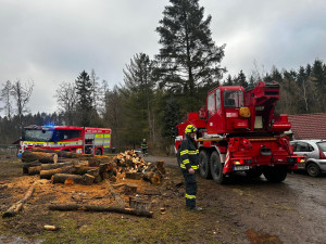 Hasiči v Noskově zachraňovali koně. Na pomoc vyrazil i jeřáb