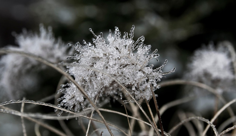 Týden přinese sněžení i mráz. V pátek se vyjasní, na víkend se oteplí