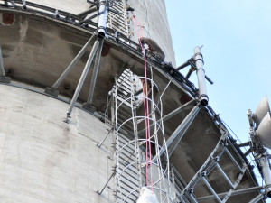 Sokoli v Písku dostali nový domov, zabydleli se už druhý den