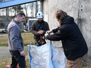 Sokoli v Písku dostali nový domov, zabydleli se už druhý den