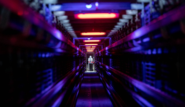 Tragédie pro velkochov slepic v Kosičkách, po výskytu ptačí chřipky začíná likvidace drůbeže