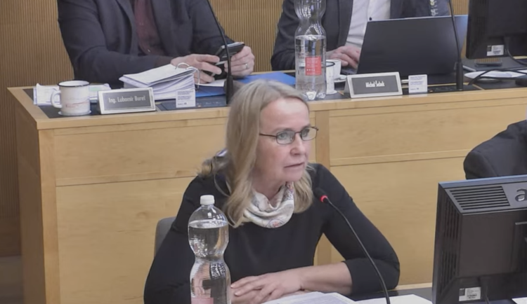 Budějcká opozice chtěla odvolat Kozlovou kvůli stavbě u Dehtáře, radní slíbila nápravu