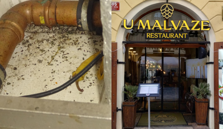 V restauraci u Karlova mostu běhali hlodavci, jejich bobky našli i v kuchyni