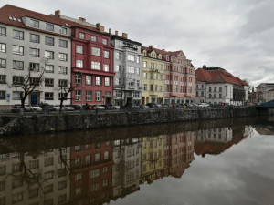 Stromy u Malše padly. Ustupují nové náplavce