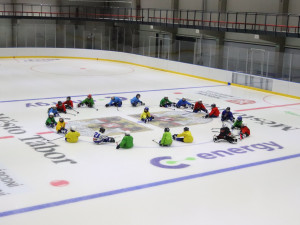 Nová ledová plocha v Táboře uleví přetíženému stadionu, stála 180 milionů korun