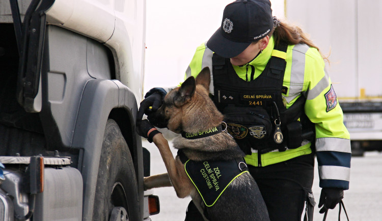Celníci na severovýchodě Čech loni zajistili miliony nelegálních výrobků