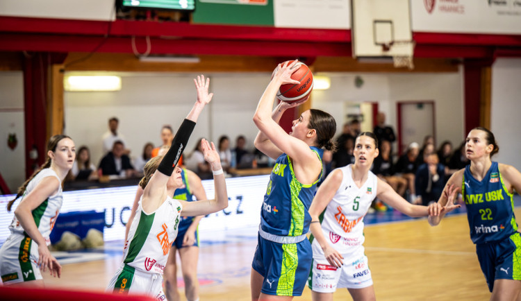 Víkendové tipy: Horácká aréna bude žít basketbalem, v Jihlavě se chystají karnevaly