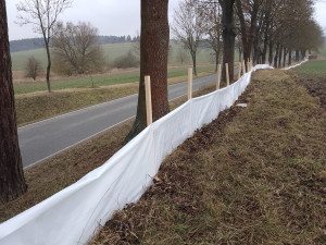 Nebezpečná cesta za láskou. Obojživelníky na Písecku chrání speciální bariéry