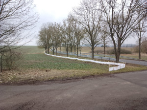 Nebezpečná cesta za láskou. Obojživelníky na Písecku chrání speciální bariéry