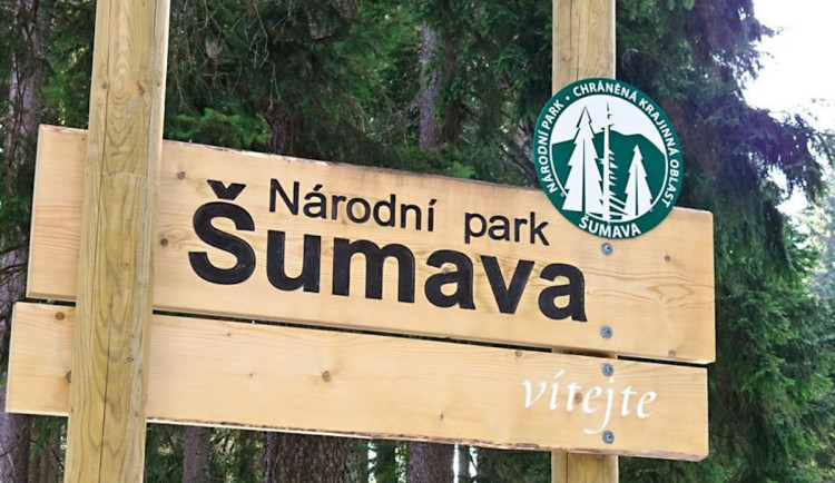 Šumavský národní park letos zřejmě zruší 15 pracovních pozic, šest procent stavu