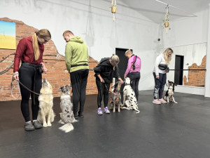 Provozní poslušnost učí psy zvládat každodenní situace doma i ve městě