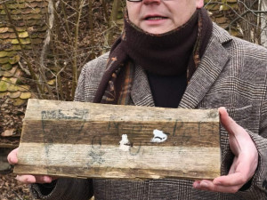 Po stopách zavražděných. Opuštěný mlýn připomíná další případy Budějovické mordparty