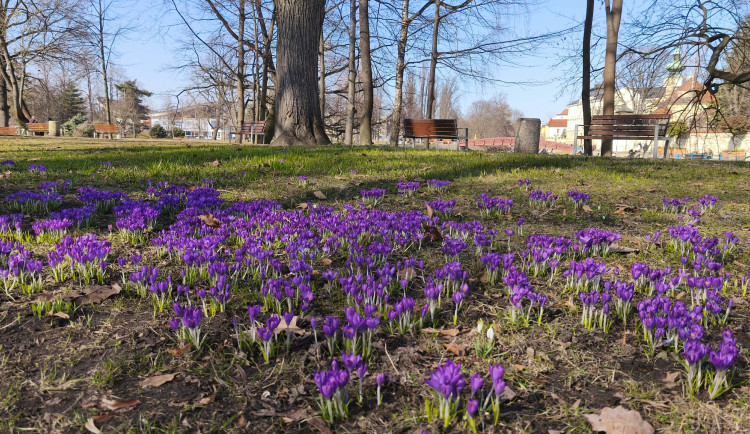 Nadprůměrně teplý týden na jihu Čech přinese jasnou oblohu i chladná rána