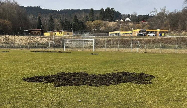 Fotbalové hřiště nebo oraniště? Pažit ve Větřní rozryla divoká prasata