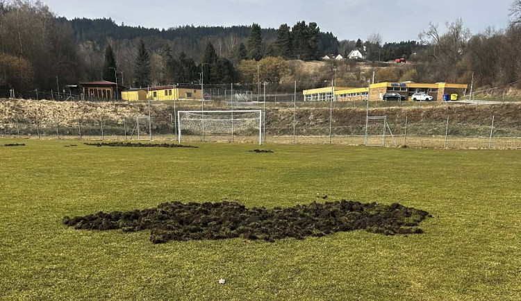 Fotbalové hřiště nebo oraniště? Pažit ve Větřní rozryla divoká prasata