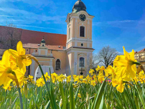 Jižní Čechy vítají jaro pestrým programem a tipy na výlety do přírody pro malé i velké