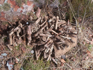 U Albrechtic našli stovky granátů. Pyrotechnici museli část arzenálu odpálili na místě