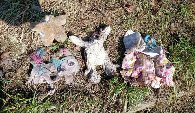 Nevychovaní návštěvníci zoo přišli s novinkou, hází do výběhu nevhodné hračky