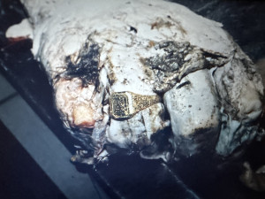 Zavražděný vrah. Smrt Romana Horáčka zůstává i po dvaceti letech záhadou