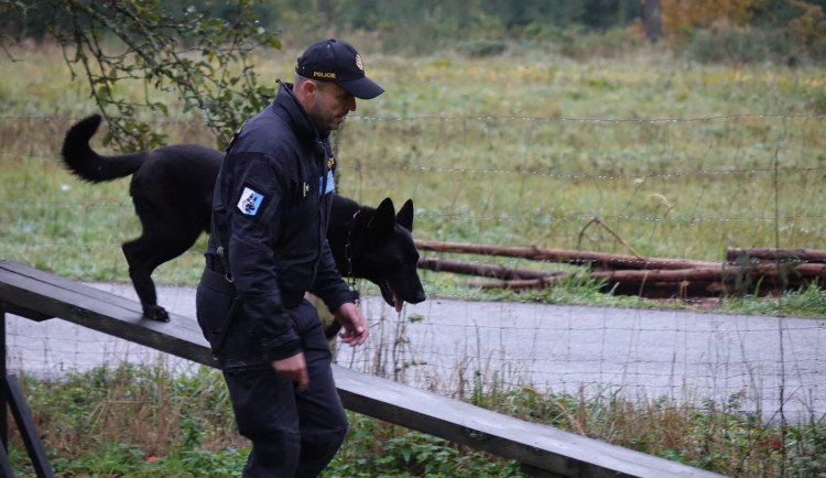 Vyčmuchají drogy i zloděje. Policejní psi se svými psovody měli loni přes 1700 zásahů