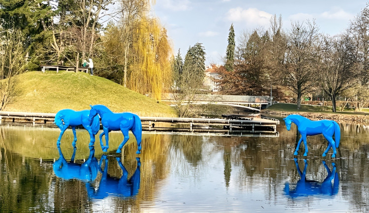 Modří koně v Šimkových sadech se většině čtenářů líbí, část lidí je ale kritická