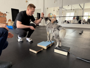 Dog fitness posiluje psí tělo a pomáhá předcházet zraněním